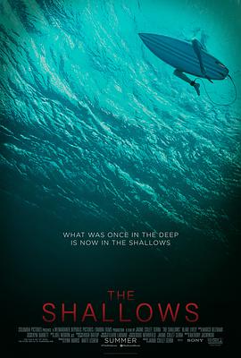 The Shallows 封面