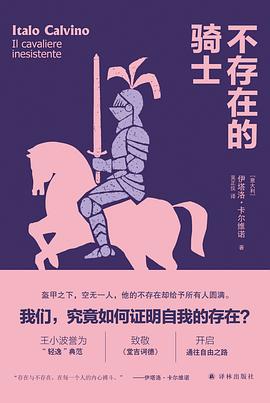 不存在的骑士 封面