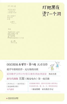 灯把黑夜 烫了一个洞 封面