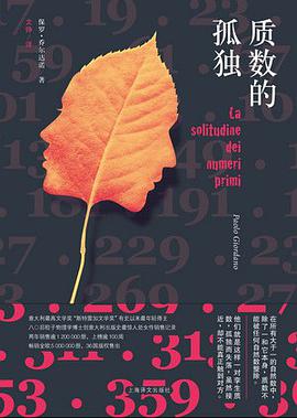 质数的孤独 封面