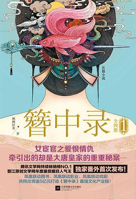 簪中录 封面