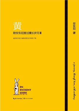 黄 封面