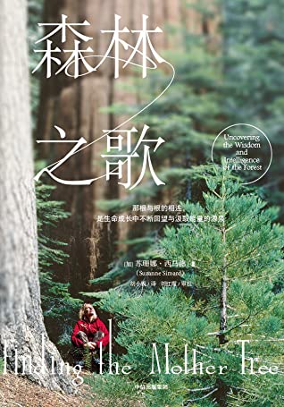 森林之歌 封面