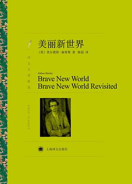 美丽新世界 封面