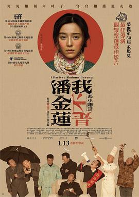 I Am Not Madame Bovary 封面