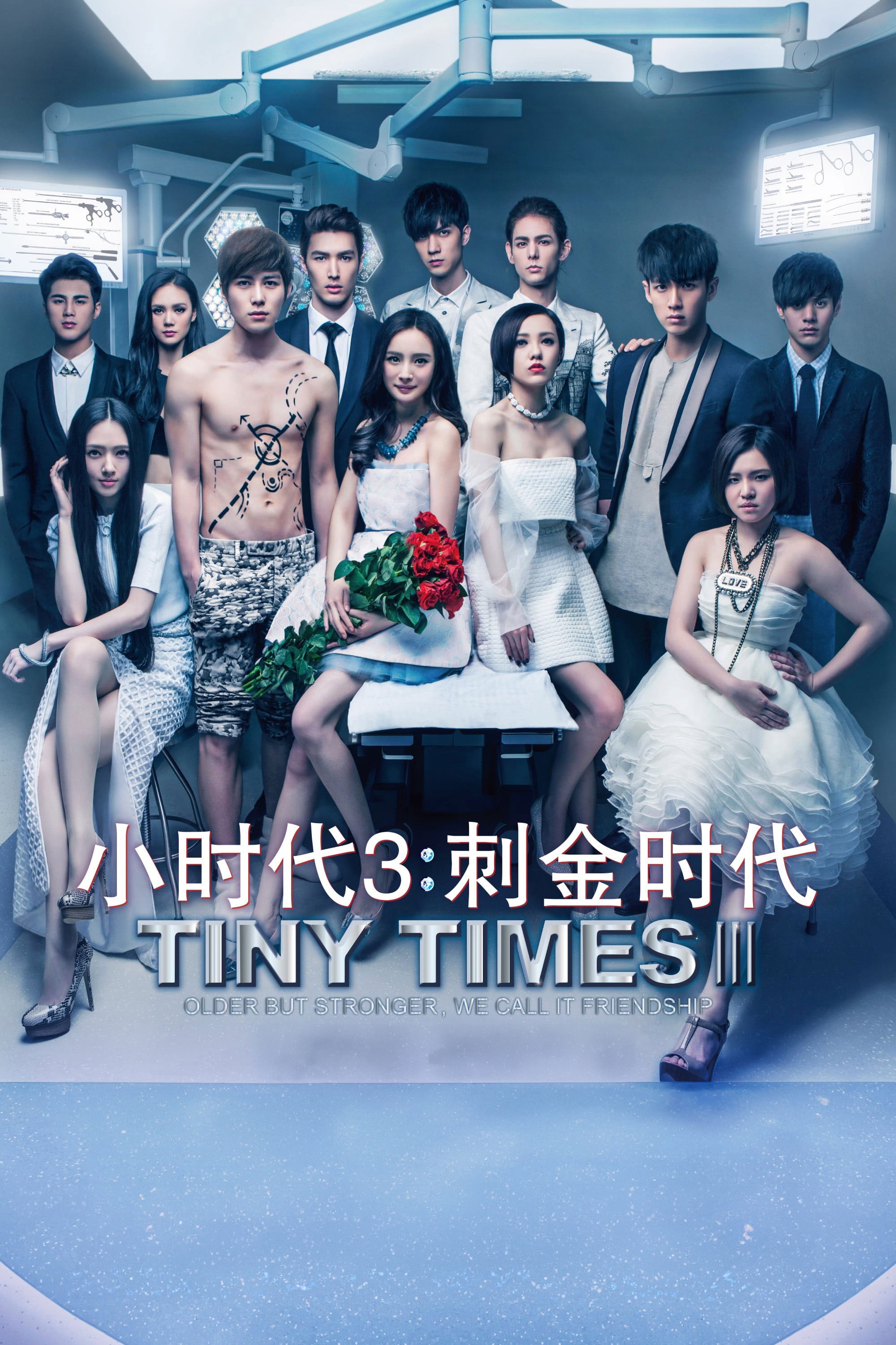 Tiny Times 3 封面