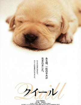 Quill 封面