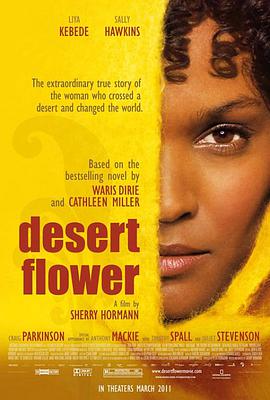 Desert Flower 封面