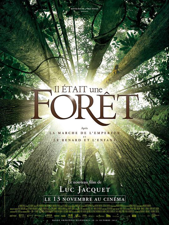 Once Upon a Forest 封面